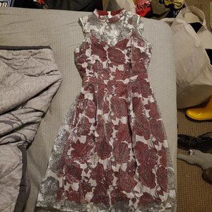Modcloth Lace and Mesh Small Dress